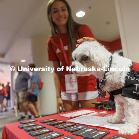 Neo the Trio support dog is gets a scratch from NSE student Katie Torres of Plattsmouth. Neo welcomes students and parents at New Student Enrollment.  June 22, 2022.  Photo by Craig Chandler / University Communication. 