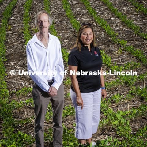 Craig Allen and Tala Awada are leading a team to establish the Network for Integrated Agricultural Resilience Research. Allen and Awada are pictured in a field. June 27, 2022. Photo by Craig Chandler / University Communication.