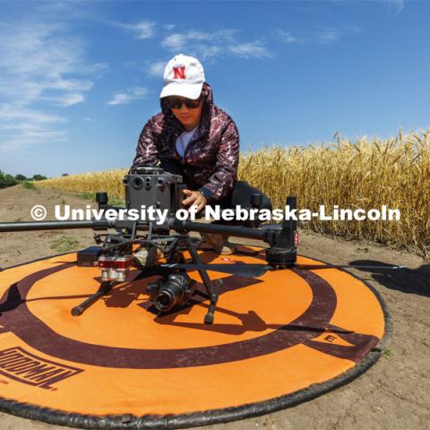 Biquan Zhao, PhD student in Biological Systems Engineering, changes the batteries on an autonomous drone photographing a field of triticale at the research fields at 84th and Havelock. Biological Systems Engineering fieldwork with drones for phenotyping fields. June 27, 2022. Photo by Craig Chandler / University Communication.