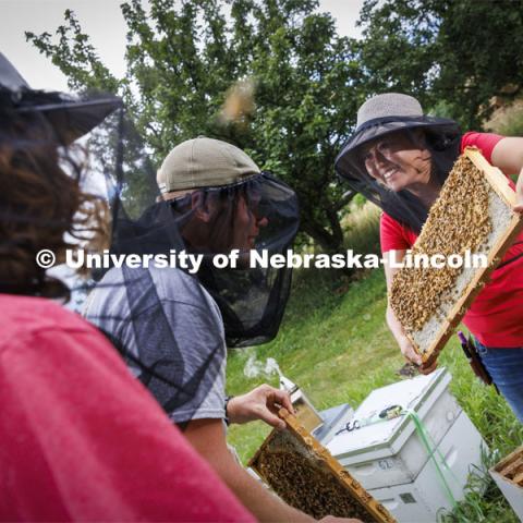 Judy Wu-Smart, Associate Professor in Entomology, has USDA-NIFA funding for bee keeping and educational training kits. July 1, 2022. Photo by Craig Chandler / University Communication.