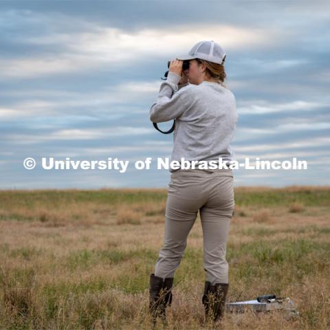 PhD student Grace Schuster looks and listens for different bird species during point counts, which are used to help measure wild bird species richness and abundance. She is working in a pasture southwest of North Platte. July 6, 2022. Photo by Iris McFarlin, AWESM Lab Communications.