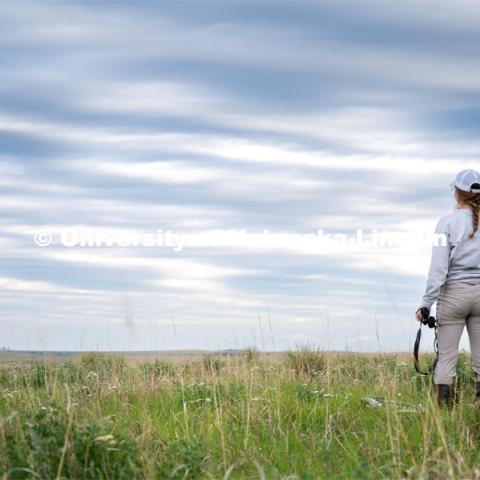 PhD student Grace Schuster looks and listens for different bird species during point counts, which are used to help measure wild bird species richness and abundance. She is working in a pasture southwest of North Platte. July 6, 2022. Photo by Iris McFarlin, AWESM Lab Communications.