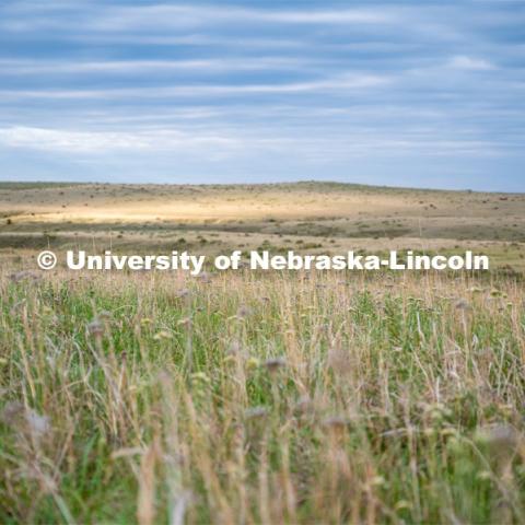 A pasture southwest of North Platte. July 6, 2022. Photo by Iris McFarlin, AWESM Lab Communications.