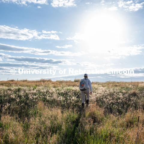 PhD student Grace Schuster looks and listens for different bird species during point counts, which are used to help measure wild bird species richness and abundance. She is working in a pasture southwest of North Platte. July 6, 2022. Photo by Iris McFarlin, AWESM Lab Communications.