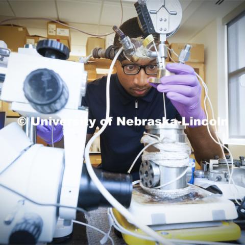 Shane Rice, a junior at North Carolina A&T, works in Professor Ozan Cifti’s lab at Food Innovation Campus. Rice is part of the Crop-To-Food Research and Extension Experiences for Undergraduates summer program at Nebraska. August 1, 2022. Photo by Craig Chandler / University Communication.