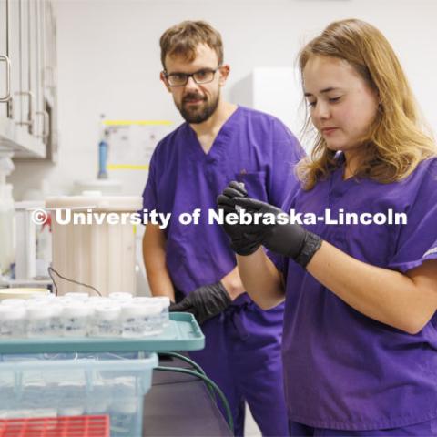 Dulcie Archuleta, a student at Nebraska Wesleyan, holds a sample as Tony Juritsch, her graduate student mentor, watches. Archuleta is part of the Crop-To-Food Research and Extension Experiences for Undergraduates summer program at Nebraska and is working in the Nebraska Gnotobiotic Mouse Program. August 2, 2022. Photo by Craig Chandler / University Communication.