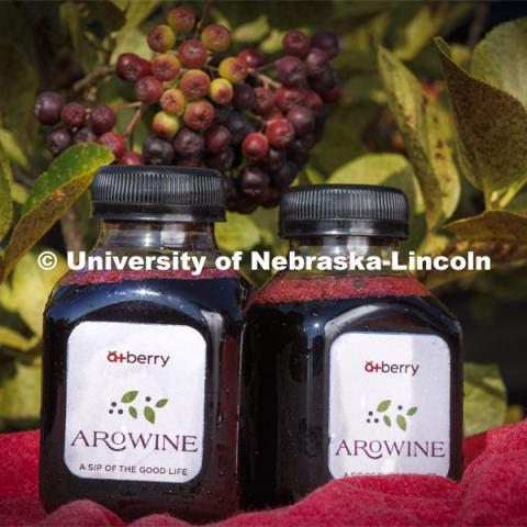 Bottles of AroJuice, a product by the A+ Berry Company. The goal of the Aronia berry research group is to convert Aronia berries, a superfruit mainly grown in the Midwest, into functional foods and ingredients. August 2, 2022. Photo by Craig Chandler / University Communication.