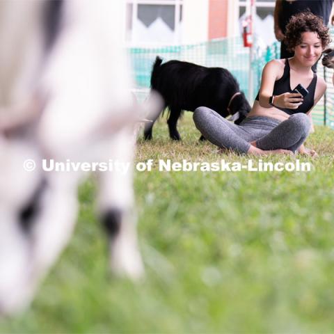 Wellness Fest and Goat Yoga on the Nebraska Union green space. August 20, 2022. Photo by Jordan Opp for University Communication
