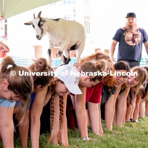 Wellness Fest and Goat Yoga on the Nebraska Union green space. August 20, 2022. Photo by Jordan Opp for University Communication
