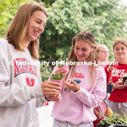 Students potting plants for their rooms at the Wellness Fest and Goat Yoga on the Nebraska Union green space. August 20, 2022. Photo by Jordan Opp for University Communication
