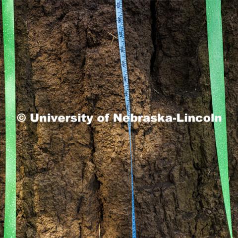 A measuring tape hangs down the side of the soil pit for students to document where they take samples from. The green tapes set the border for where students sample so they all sample in the same area. Kennadi Griffis’ curiosity about the natural environment and the opportunities she found at the University of Nebraska–Lincoln propelled the Husker to an international championship in soil judging as a member of Team USA. September 9, 2022. Photo by Craig Chandler / University Communication.