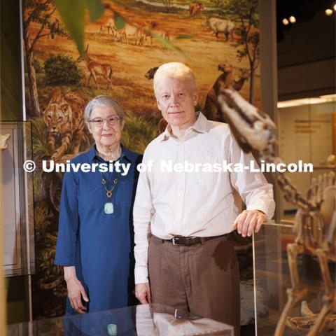 Nebraska paleontologist Ross Secord and Judy Diamond pose next to a Mesohippus skeleton. The two are working together at Looking Back for Future Climate Clues. With a nearly $350,000 grant from the National Science Foundation, Secord’s pursuing a first-of-its-kind study that explores how climate change affected the environment, ecosystems and organisms during the Early Eocene Climatic Optimum. The EECO took place about 52 million years ago and was the warmest interval of the past 70 million years.    

  

Marked by a shift to high carbon dioxide levels, warm temperatures and increased precipitation, the transition from pre-EECO to the EECO is considered a good analogue for future climate change. Better understanding ecological changes during this time may provide clues to scientists trying to forecast future conditions.  

  

“Studying intervals in the geologic record where the global warming experiment has already occurred gives you a way of figuring out what the possible outcomes of climate change may be,” said Secord, associate professor of earth and atmospheric sciences.   

  

Secord and collaborators are analyzing fossil records from Wyoming’s Bighorn and Wind River basins, which have rich collections from the EECO. They will identify the types of forest structure that prevailed during that period. Their findings will clarify the interrelationship between climate change, forest structure and mammal evolution.  

  

Secord will analyze fossil teeth of EECO mammals to infer the types of habitats present in the environment. Mammalian tooth enamel preserves the different types of carbon found in the plants they consumed. This process is part of stable isotope geochemistry, one of Secord’s specialties.    

  

Nebraska’s Judy Diamond is leading an outreach plan that provides 50 rural and tribal libraries in Nebraska and across the nation with current information about climate change, water resources, mammal evolution a