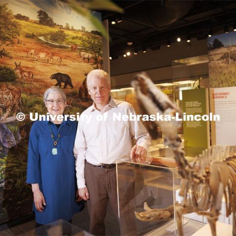 Nebraska paleontologist Ross Secord and Judy Diamond pose next to a Mesohippus skeleton. The two are working together at Looking Back for Future Climate Clues. With a nearly $350,000 grant from the National Science Foundation, Secord’s pursuing a first-of-its-kind study that explores how climate change affected the environment, ecosystems and organisms during the Early Eocene Climatic Optimum. The EECO took place about 52 million years ago and was the warmest interval of the past 70 million years.    

  

Marked by a shift to high carbon dioxide levels, warm temperatures and increased precipitation, the transition from pre-EECO to the EECO is considered a good analogue for future climate change. Better understanding ecological changes during this time may provide clues to scientists trying to forecast future conditions.  

  

“Studying intervals in the geologic record where the global warming experiment has already occurred gives you a way of figuring out what the possible outcomes of climate change may be,” said Secord, associate professor of earth and atmospheric sciences.   

  

Secord and collaborators are analyzing fossil records from Wyoming’s Bighorn and Wind River basins, which have rich collections from the EECO. They will identify the types of forest structure that prevailed during that period. Their findings will clarify the interrelationship between climate change, forest structure and mammal evolution.  

  

Secord will analyze fossil teeth of EECO mammals to infer the types of habitats present in the environment. Mammalian tooth enamel preserves the different types of carbon found in the plants they consumed. This process is part of stable isotope geochemistry, one of Secord’s specialties.    

  

Nebraska’s Judy Diamond is leading an outreach plan that provides 50 rural and tribal libraries in Nebraska and across the nation with current information about climate change, water resources, mammal evolution a