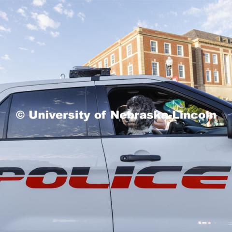 Cash, the UNLPD therapy dog, had a front seat to the parade. Homecoming Parade and Cornstalk. September 30, 2022. Photo by Craig Chandler / University Communication.