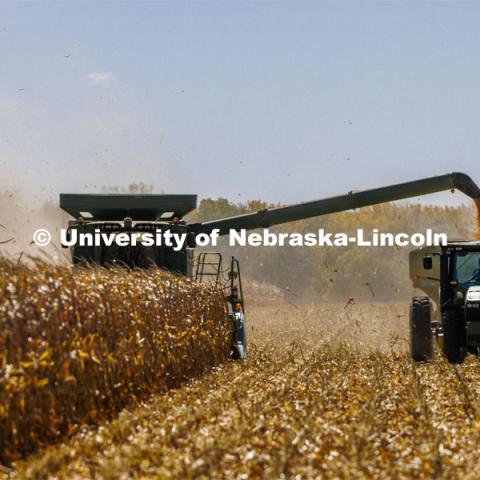 Corn harvest south of Chapman, Nebraska. October 13, 2022. Photo by Craig Chandler / University Communication. 
