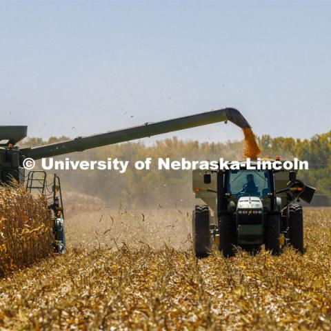 Corn harvest south of Chapman, Nebraska. October 13, 2022. Photo by Craig Chandler / University Communication. 