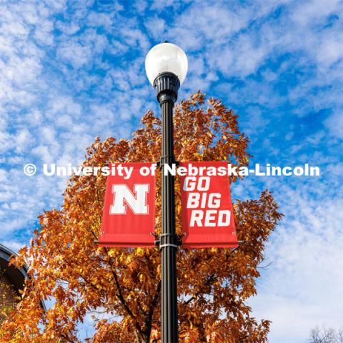 Nebraska N Banners are surrounded by orange fall leaves. Fall on City Campus. November 2, 2022. Photo by Craig Chandler / University Communication.