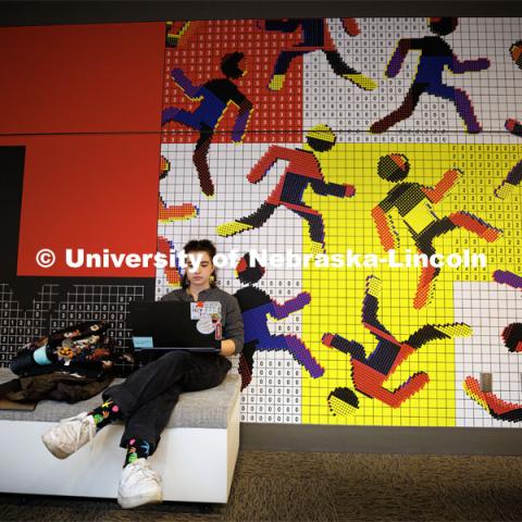 Isabelle Kripps, a sophomore from Omaha, studies in front of the large wall mural on the third-floor common space in Andersen Hall. November 9, 2022. Photo by Craig Chandler / University Communication.