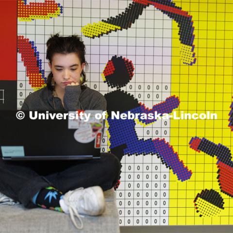 Isabelle Kripps, a sophomore from Omaha, studies in front of the large wall mural on the third-floor common space in Andersen Hall. November 9, 2022. Photo by Craig Chandler / University Communication.