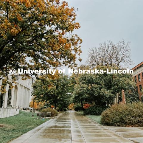 Fall on City Campus. November, 2022. Photos by Katie Black and Taylor DeMaro / University Communication.