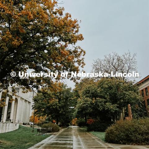 Fall on City Campus. November, 2022. Photos by Katie Black and Taylor DeMaro / University Communication.