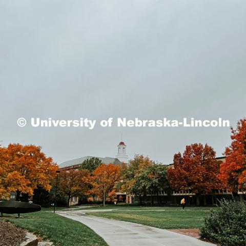 Fall on City Campus. November, 2022. Photos by Katie Black and Taylor DeMaro / University Communication.