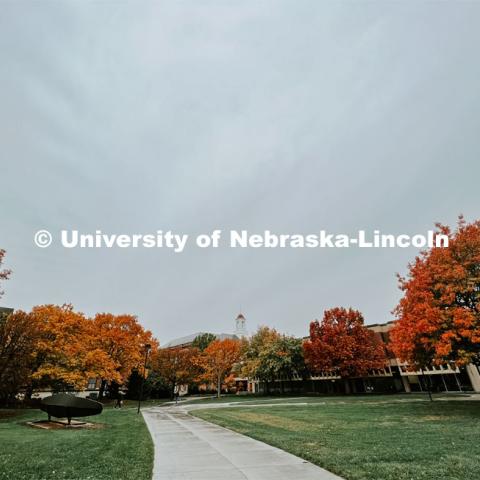 Fall on City Campus. November, 2022. Photos by Katie Black and Taylor DeMaro / University Communication.