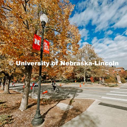 Fall on City Campus. November, 2022. Photos by Katie Black and Taylor DeMaro / University Communication.