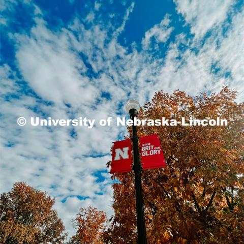 Fall on City Campus. November, 2022. Photos by Katie Black and Taylor DeMaro / University Communication.