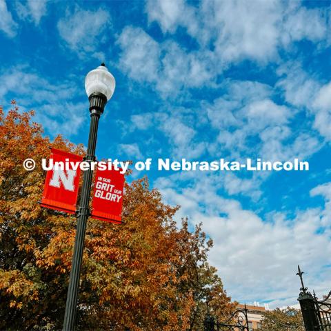 Fall on City Campus. November, 2022. Photos by Katie Black and Taylor DeMaro / University Communication.