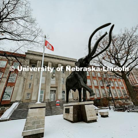 Winter on city campus, December, 2022. Photos by Katie Black  / University Communication. 