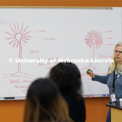 Hallen-Adams explains the biology of Aspergillus. FDST 492 - Special Topics in Food Science and Technology topic Moldy Meals: Koji and More. January 10, 2023. Photo by Craig Chandler / University Communication.