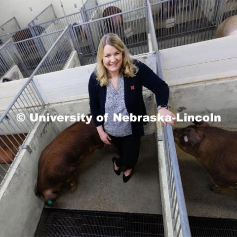 Amy Desaulniers, Assistant Professor of Veterinary Medicine and Biomedical Sciences at Nebraska, leads a team that seeks to develop boars that are more genetically tolerant of gestational heat stress in pregnant sows. March 3, 2023. Photo by Craig Chandler / University Communication.