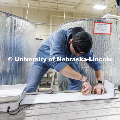 Billy Clark measures a yellow perch from one of the research tanks. Aquatic Biodiversity and Conservation (ABC) Lab. March 27, 2023. Photo by Craig Chandler / University Communication.