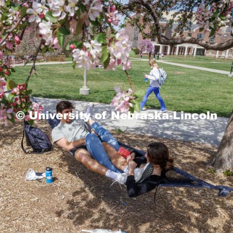 Ryan Healy, a senior from Gothenburg, hangs out under the blooming trees with Madeline Morrison, a junior from Pequot Lakes, Minnesota. Spring on City Campus. April 18, 2023. Photo by Craig Chandler / University Communication.