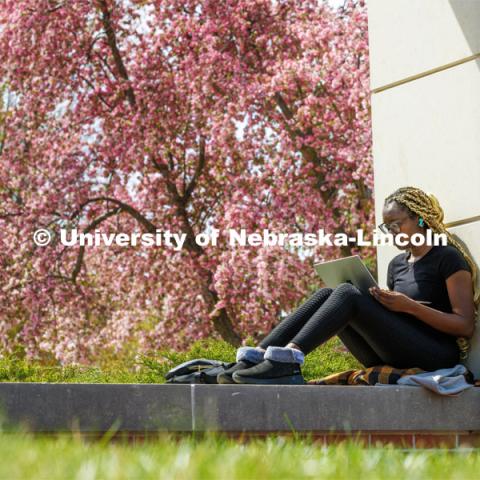 Maryam Ajibola, a freshman from Lockport, Illinios, studies surrounded by spring blooms outside the Nebraska Union. Spring on City Campus. April 18, 2023. Photo by Craig Chandler / University Communication.