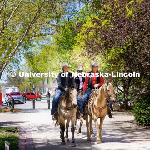 Students in Rob Simon’s capstone marketing course held a promotional event for the UNL rodeo on the west side of the Union on City Campus. The class developed a marketing strategy for the Rodeo Club to help promote their upcoming rodeo. Seven horses and multiple club members were on city campus for students to meet, get close to and have their photos taken. May 1, 2023. Photo by Craig Chandler / University Communication.