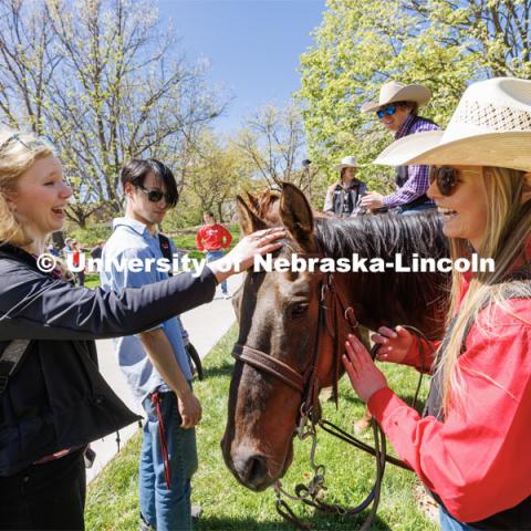 Chelsea Abels pets a horse as she talks with Rodeo Club member Sydney Veldhuizen during the promotional event outside the Nebraska Union. Students in Rob Simon’s capstone marketing course held a promotional event for the UNL rodeo on the west side of the Union on City Campus. The class developed a marketing strategy for the Rodeo Club to help promote their upcoming rodeo. Seven horses and multiple club members were on city campus for students to meet, get close to and have their photos taken. May 1, 2023. Photo by Craig Chandler / University Communication.