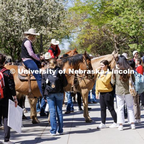 Students gather around rodeo club members and their horses on City Campus. Students in Rob Simon’s capstone marketing course held a promotional event for the UNL rodeo on the west side of the Union on City Campus. The class developed a marketing strategy for the Rodeo Club to help promote their upcoming rodeo. Seven horses and multiple club members were on city campus for students to meet, get close to and have their photos taken. May 1, 2023. Photo by Craig Chandler / University Communication.