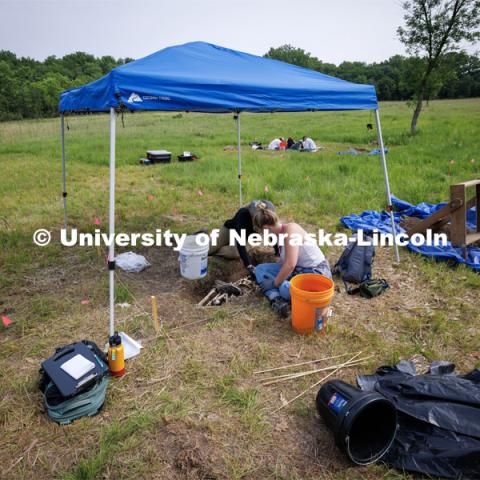 Two groups of students excavate a plastic skeleton representing an apparent crime victim at a forensic anthropology site. LuAnn Wandsnider is leading anthropology and forensic anthropology digs at the Reller Prairie in southwest Lancaster County. June 9, 2023. Photo by Craig Chandler / University Communication.