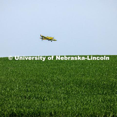 Crop duster sprays corn fields in southeast Lancaster County. June 22, 2023. Photo by Craig Chandler / University Communication.