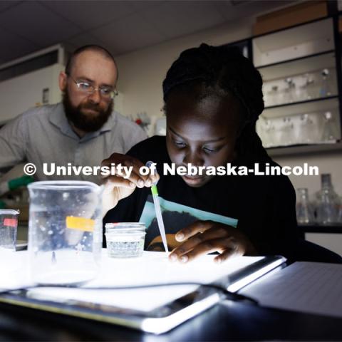 Riada Riyangow, an incoming UNL freshman from Lincoln, who plans to study biology, works in Professor Clay Cressler’s lab. University of Nebraska-Lincoln’s “STEM-POWER Research Program: Empowering students from the start with Purpose, Ownership, and Well-being as they Engage in research Relationships”. June 28, 2023. Photo by Craig Chandler / University Communication.