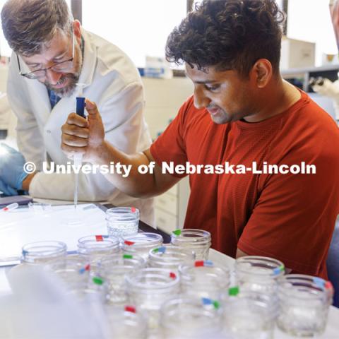 Aryan Anin, works on summer research under the supervision of Professor Clay Cressler. University of Nebraska-Lincoln’s “STEM-POWER Research Program: Empowering students from the start with Purpose, Ownership, and Well-being as they Engage in research Relationships”. June 28, 2023. Photo by Craig Chandler / University Communication.