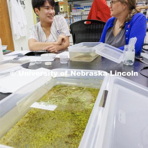 Bui Vu discusses research with Kristi Montooth. University of Nebraska-Lincoln’s “STEM-POWER Research Program: Empowering students from the start with Purpose, Ownership, and Well-being as they Engage in research Relationships”. June 28, 2023. Photo by Craig Chandler / University Communication.