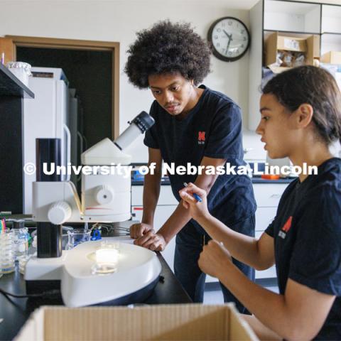 Maricela Zamora, an incoming UNL freshman from Lincoln, discusses her research with Jesus Worth, a UNL sophomore program mentor. University of Nebraska-Lincoln’s “STEM-POWER Research Program: Empowering students from the start with Purpose, Ownership, and Well-being as they Engage in research Relationships”. June 28, 2023. Photo by Craig Chandler / University Communication.