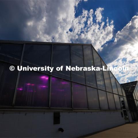 Exterior view of Beadle Greenhouses. July 24, 2023. Photo by Craig Chandler / University Communication.