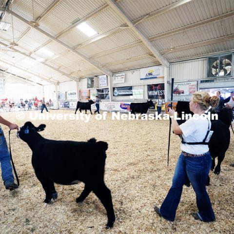 All eyes on the judge during the senior division beef showmanship competition. 4H/FFA Beef Show at the Gage County Fair and Expo in Beatrice. July 28, 2023. Photo by Craig Chandler / University Communication.
