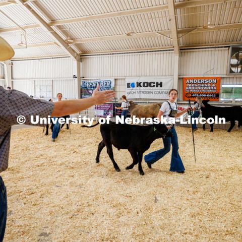 Mylee Gaddy of Odell concentrates more on the judge than the crowd does during the senior division beef showmanship competition. 4H/FFA Beef Show at the Gage County Fair and Expo in Beatrice. July 28, 2023. Photo by Craig Chandler / University Communication.