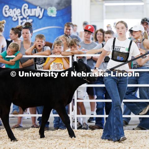 Mylee Gaddy of Odell concentrates more on the judge than the crowd does during the senior division beef showmanship competition. 4H/FFA Beef Show at the Gage County Fair and Expo in Beatrice. July 28, 2023. Photo by Craig Chandler / University Communication.