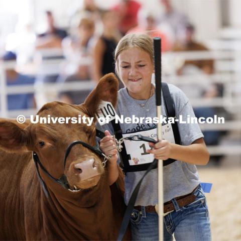 Halle Goes of Courtland wrestles with her cow during the intermediate division beef showmanship competition. 4H/FFA Beef Show at the Gage County Fair and Expo in Beatrice. July 28, 2023. Photo by Craig Chandler / University Communication.